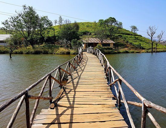 Chikmagalur Coffee Tour